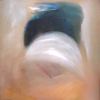 05_Que_du_vent_-_Un_peu_de_legerete_100x100_cm.jpg
